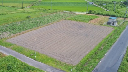 吉川圃場