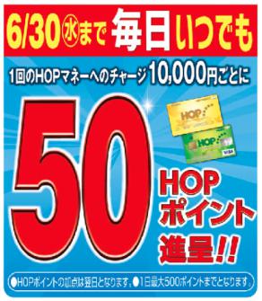 50HOPポイント進呈！！