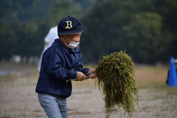 清掃活動フォト