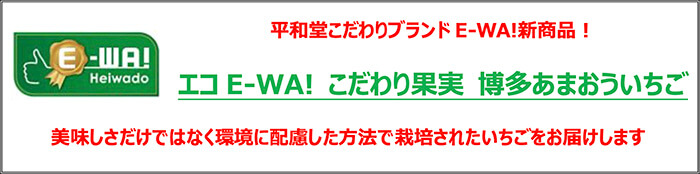 平和堂こだわりブランドE-WA!新商品！ エコE-WA! こだわり果実 博多あまおういちご 美味しさだけではなく環境に配慮した方法で栽培されたいちごをお届けします