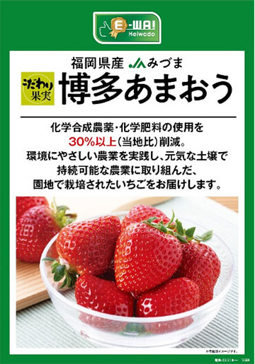 福岡県産 JAみづま こだわり果実 博多あまおう 化学合成農薬・化学肥料の使用を30％以上（当社比）削減。環境にやさしい農業を実践し、元気な土壌で持続可能な農業に取り組んだ、園地で栽培されたいちごをお届けします。