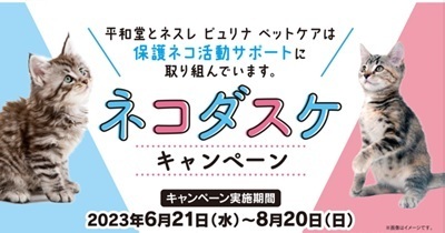 〈2023年8月20日まで〉平和堂＆ネスレ ピュリナ ペットケアによる「ネコダスケキャンペーン」開催中！