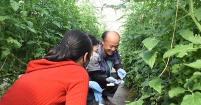 〈滋賀県内で初開催。ミニトマト栽培の基礎知識を学べる農業体験講座〉「ミニトマト農業体験＠平和堂ファーム」を開催しました