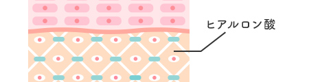 ヒアルロン酸Na