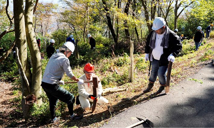 台風被害による倒木を遊歩道の整備などに再利用