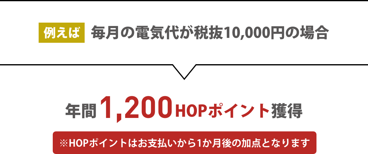 例えば毎月の電気代が税抜10,000円の場合 年間1,200HOPポイント獲得 ※HOPポイントはお支払いから1か月後の加点となります