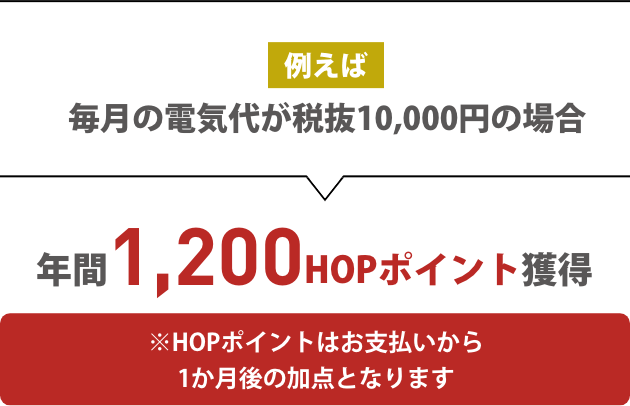 例えば毎月の電気代が税抜10,000円の場合 年間1,200HOPポイント獲得 ※HOPポイントはお支払いから1か月後の加点となります