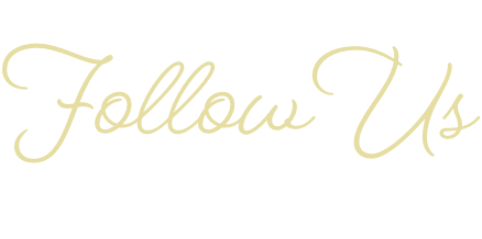 Follow us