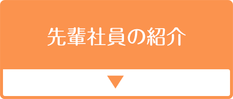 先輩社員の紹介