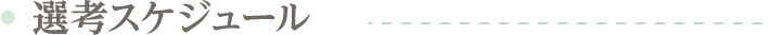 選考スケジュール