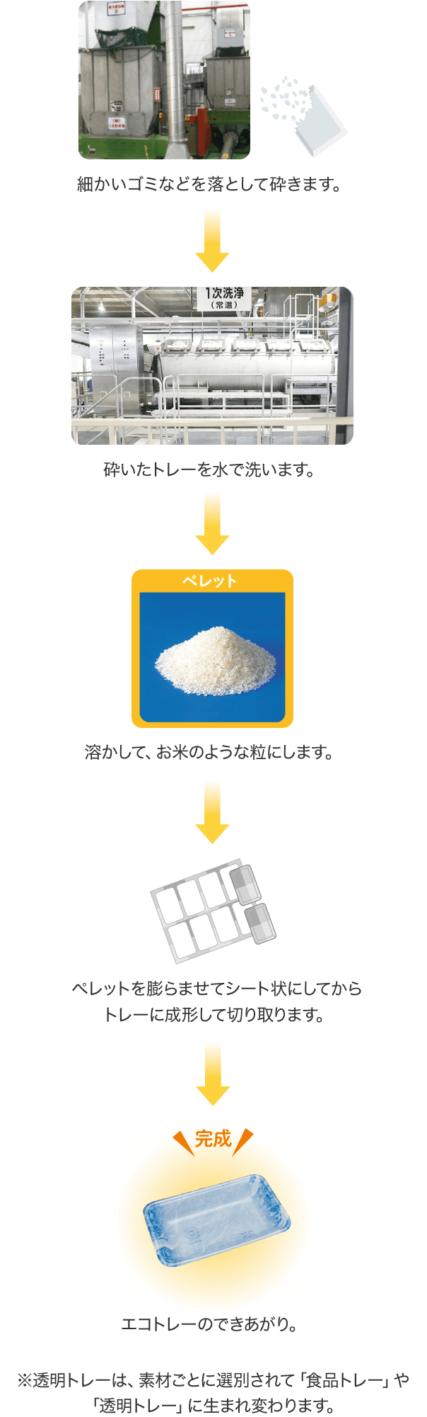 細かいゴミなどを落として砕きます。 砕いたトレーを水で洗います。 溶かして、お米のような粒にします。 ペレットを膨らませてシート状にしてからトレーに成形して切り取ります。 エコトレーのできあがり。 ※透明トレーは、素材ごとに選別されて「食品トレー」や「透明トレー」に生まれ変わります。