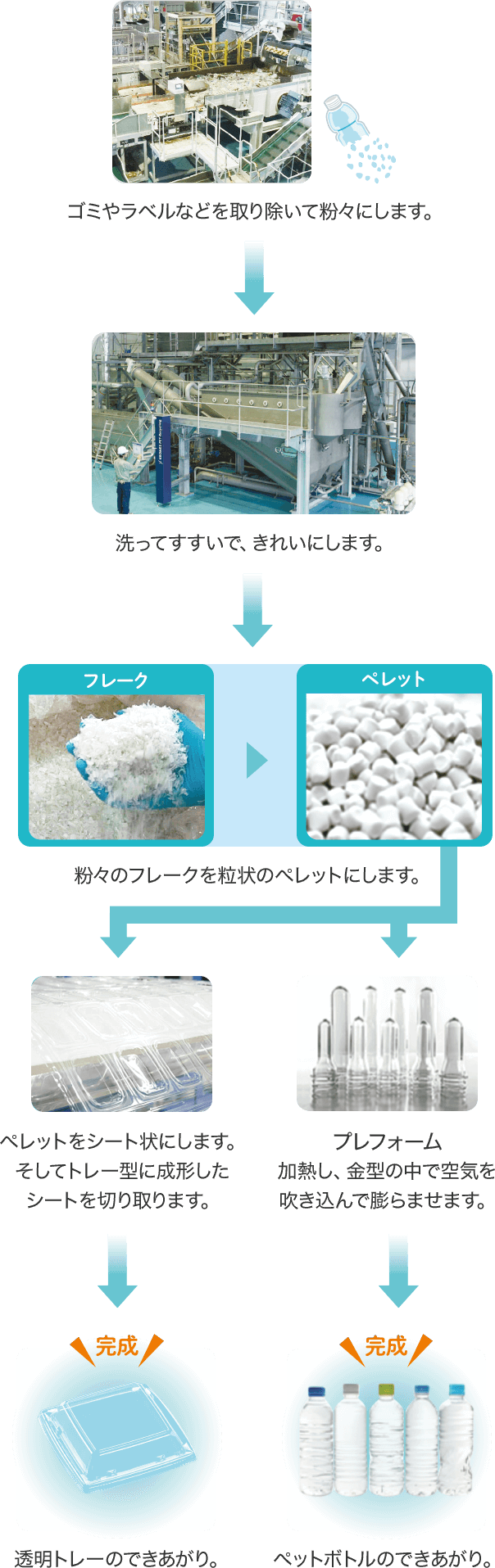 ゴミやラベルなどを取り除いて粉々にします。 洗ってすすいで、きれいにします。 粉々のフレークを粒状のペレットにします。 ①ペレットをシート状にします。そしてトレー型に成形したシートを切り取ります。 透明トレーのできあがり。 ②プレフォーム 加熱し、金型の中で空気を吹き込んで膨らませます。 ペットボトルのできあがり。