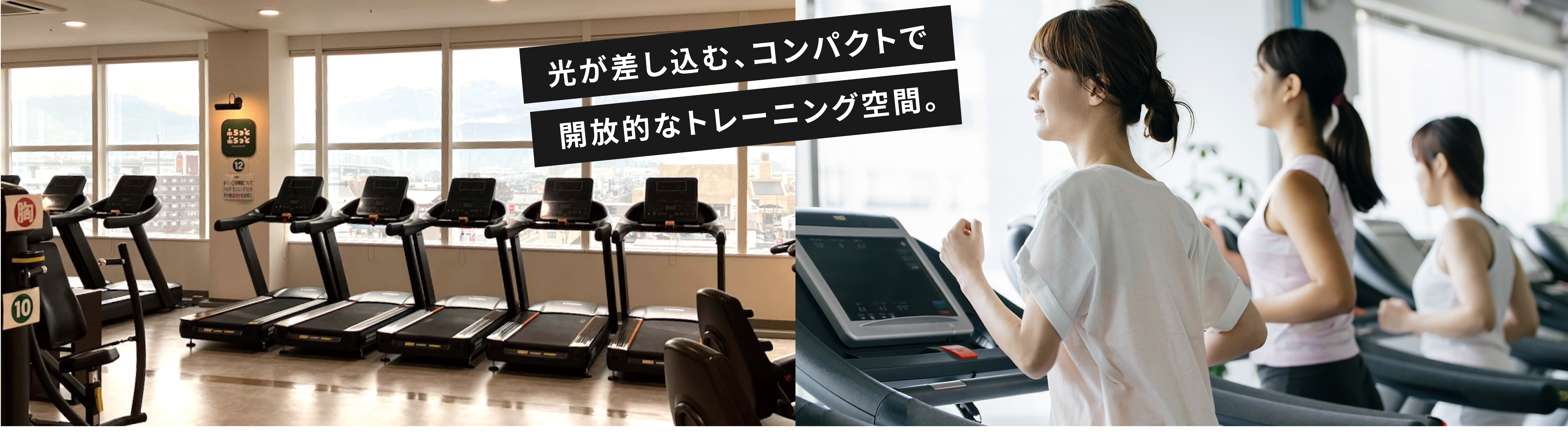 CARDIO MACHINE AREA